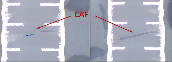 CAF.jpeg